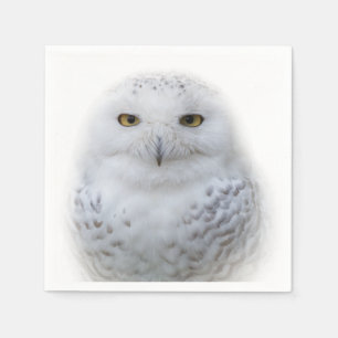 Mooi, drommelig en Serene Snowy Owl Servet