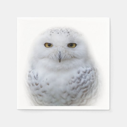 Mooi, drommelig en Serene Snowy Owl Servet (Voorkant)