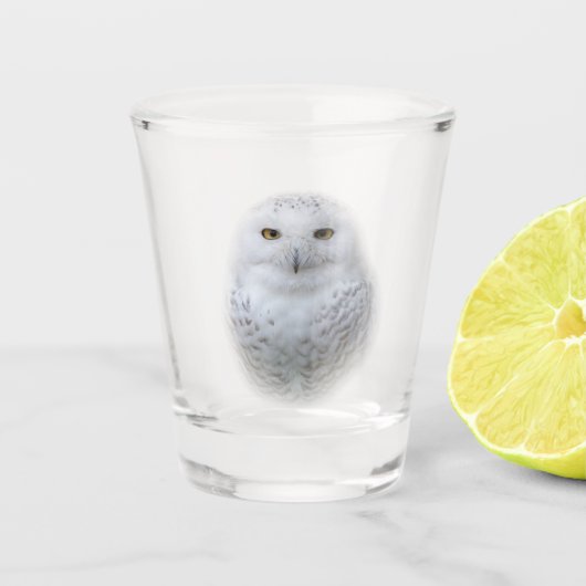 Mooi, drommelig en Serene Snowy Owl Shot Glas (Voorkant)