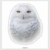 Mooi, drommelig en Serene Snowy Owl Sticker (Vel)