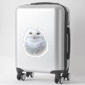 Mooi, drommelig en Serene Snowy Owl Sticker (Koffer)