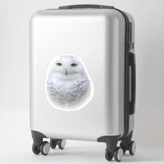 Mooi, drommelig en Serene Snowy Owl Sticker (Koffer)