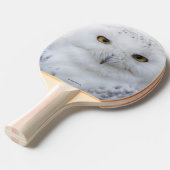 Mooi, drommelig en Serene Snowy Owl Tafeltennisbatje (Voorkant Gekanteld)