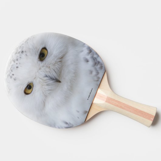 Mooi, drommelig en Serene Snowy Owl Tafeltennisbatje (Zijkant)