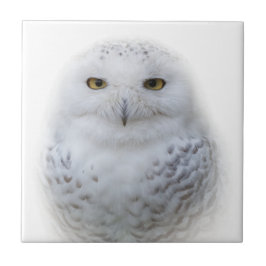 Mooi, drommelig en Serene Snowy Owl Tegeltje