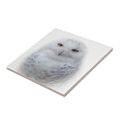 Mooi, drommelig en Serene Snowy Owl Tegeltje (Zijkant)