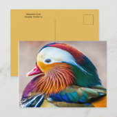 Mooi Duck Portret Briefkaart (Voorkant / Achterkant)