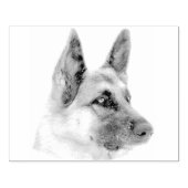 Mooi Duits Herder Hond Portret Rubberstempel (Afrduk)