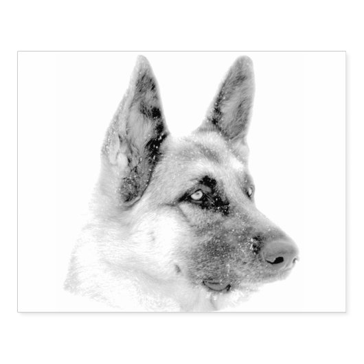 Mooi Duits Herder Hond Portret Rubberstempel (Afrduk)