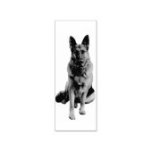 Mooi Duits Herder Hond Portret Rubberstempel (Afrduk)