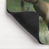 Mooi Elk Muismat (Hoek)