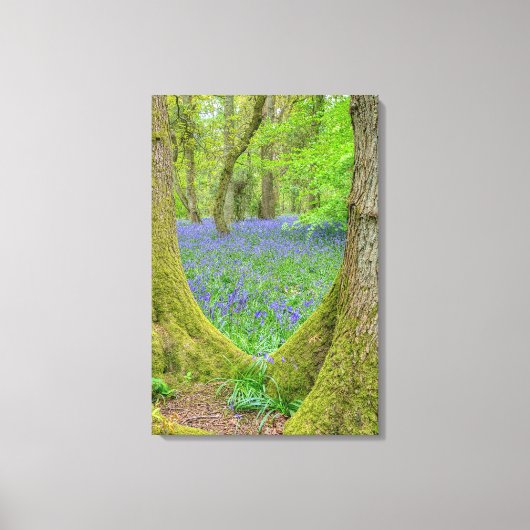 Mooi Engels Bluebell Wood Canvas Afdruk (Voorkant)