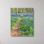 Mooi Engels Bluebell Wood Canvas Afdruk (Voorkant)