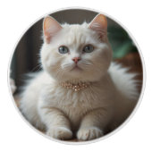 Mooi Fluffy Wit Kat met Halsband Keramische Knop (Voorkant)