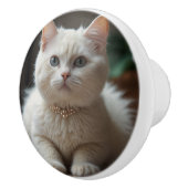 Mooi Fluffy Wit Kat met Halsband Keramische Knop (Rechts)
