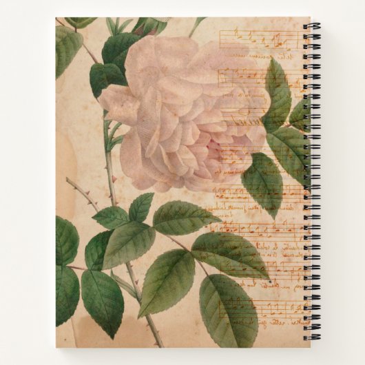 Mooi Frans  dagblad Notitieboek (Achterkant)