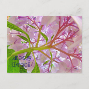 Mooi gedaan! ansichtkaart Roze Hortensia Bloemen Briefkaart