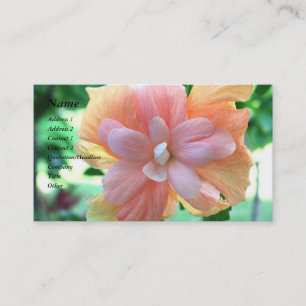 Mooi geel, Oranje en Roze Hibiscus-ventilator Visitekaartje