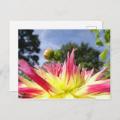 Mooi Geel Roze Dahlia DIY Briefkaart (Voorkant / Achterkant)