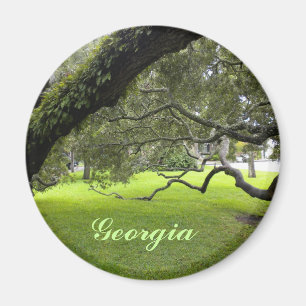 Mooi Georgia Oak en Green Lawn Magneet