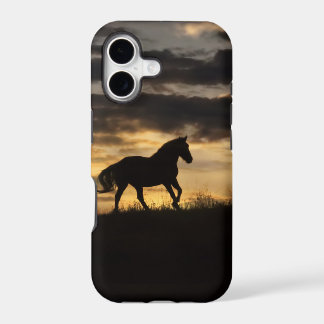 Mooi gratis paard zonsondergang silhouet