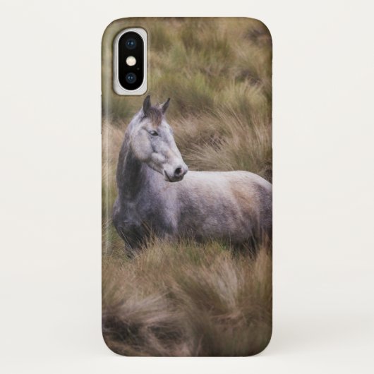 Mooi grijs gekleurd paard Case-Mate iPhone case (Achterkant)