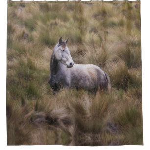 Mooi grijs gekleurd paard douchegordijn