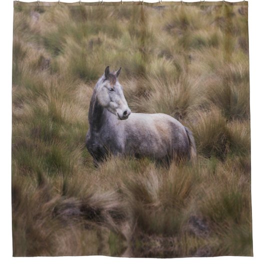 Mooi grijs gekleurd paard douchegordijn (Voorkant)