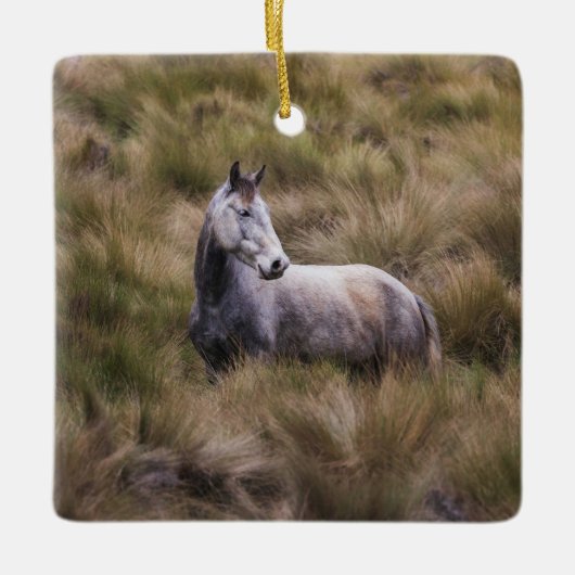 Mooi grijs gekleurd paard keramisch ornament (Voorkant)