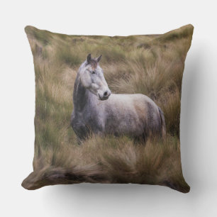 Mooi grijs gekleurd paard kussen
