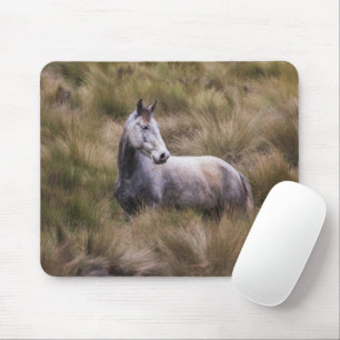 Mooi grijs gekleurd paard muismat