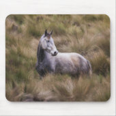 Mooi grijs gekleurd paard muismat (Voorkant)