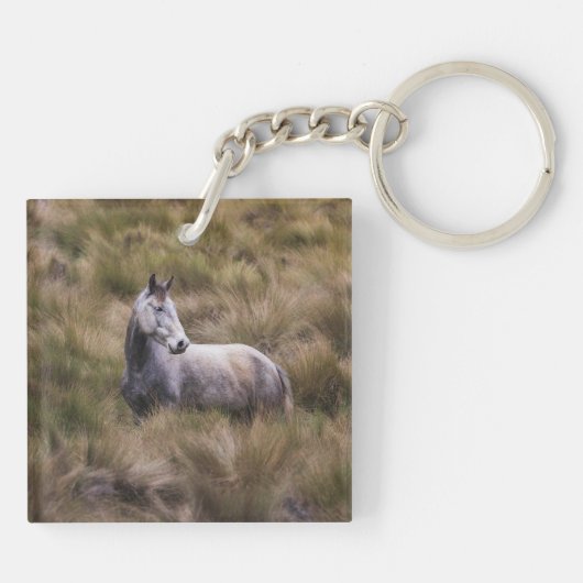 Mooi grijs gekleurd paard sleutelhanger (Achterkant)