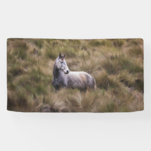 Mooi grijs gekleurd paard spandoek