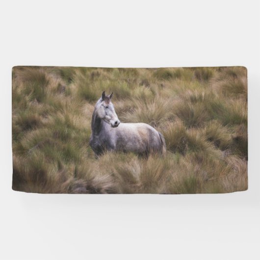 Mooi grijs gekleurd paard spandoek (Horizontaal)