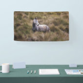 Mooi grijs gekleurd paard spandoek (Beurs)