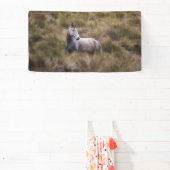 Mooi grijs gekleurd paard spandoek (Insitu)