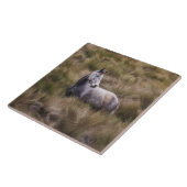 Mooi grijs gekleurd paard tegeltje (Zijkant)