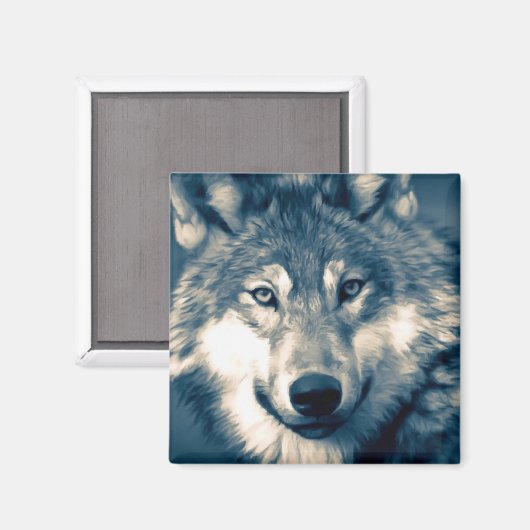 Mooi grijs Wolf Woodland Animal Magneet (Voorkant / Achterkant)