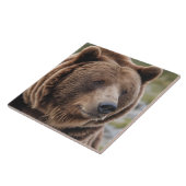 Mooi Grizzly Beer Portret Bruin Beer 2a Tegeltje (Zijkant)