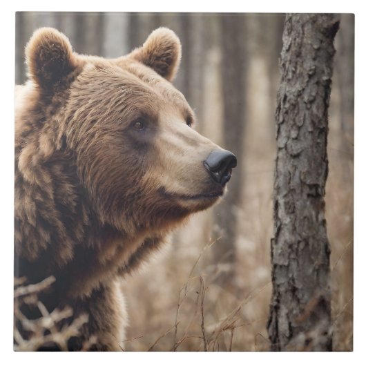 Mooi Grizzly Beer Portret Bruin Beer 3a Tegeltje (Voorkant)