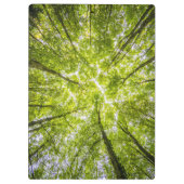 Mooi groen bos klembord (Achterkant)