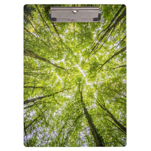 Mooi groen bos klembord (Voorkant)