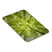 Mooi groen bos magneet (Rechterzijde)