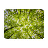 Mooi groen bos magneet (Horizontaal)