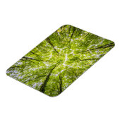 Mooi groen bos magneet (Linkerzijde)