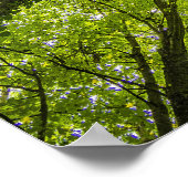 Mooi groen bos poster (Hoek)