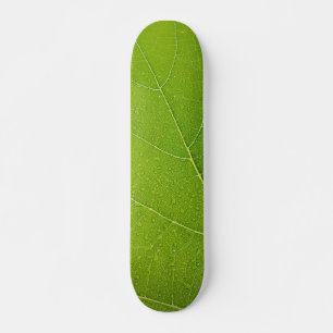 Mooi groen lef persoonlijk skateboard