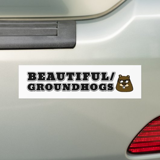 Mooi/Grondhogs Bumpersticker (Op auto)