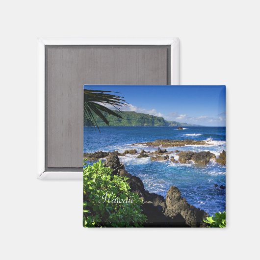 Mooi Hawaï (gelabeld) Magneet (Voorkant / Achterkant)